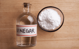 Mix white vinegar with water